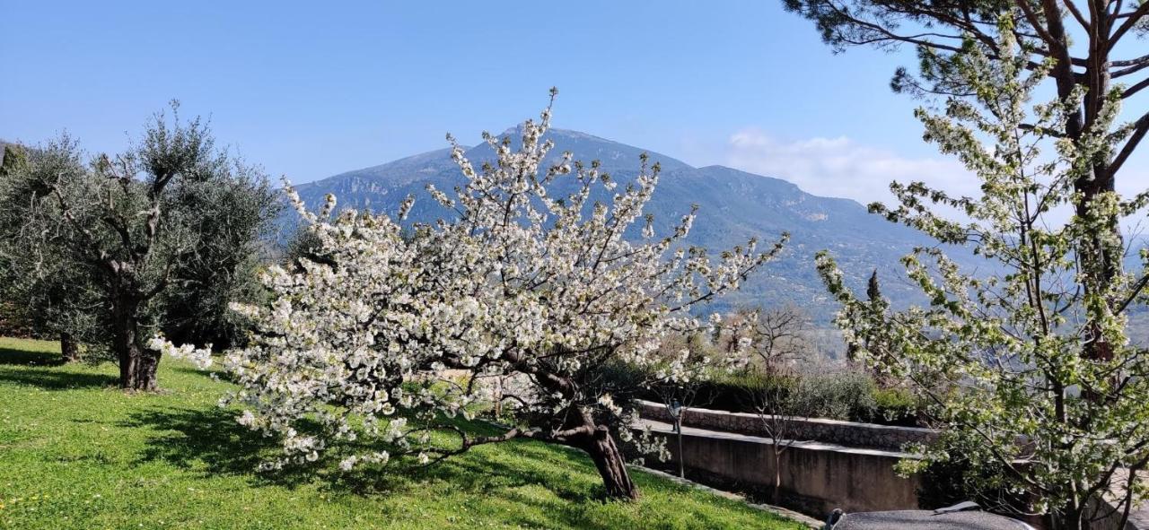 Loup Castel Boutique Hotel B&B Le Bar-sur-Loup Екстериор снимка