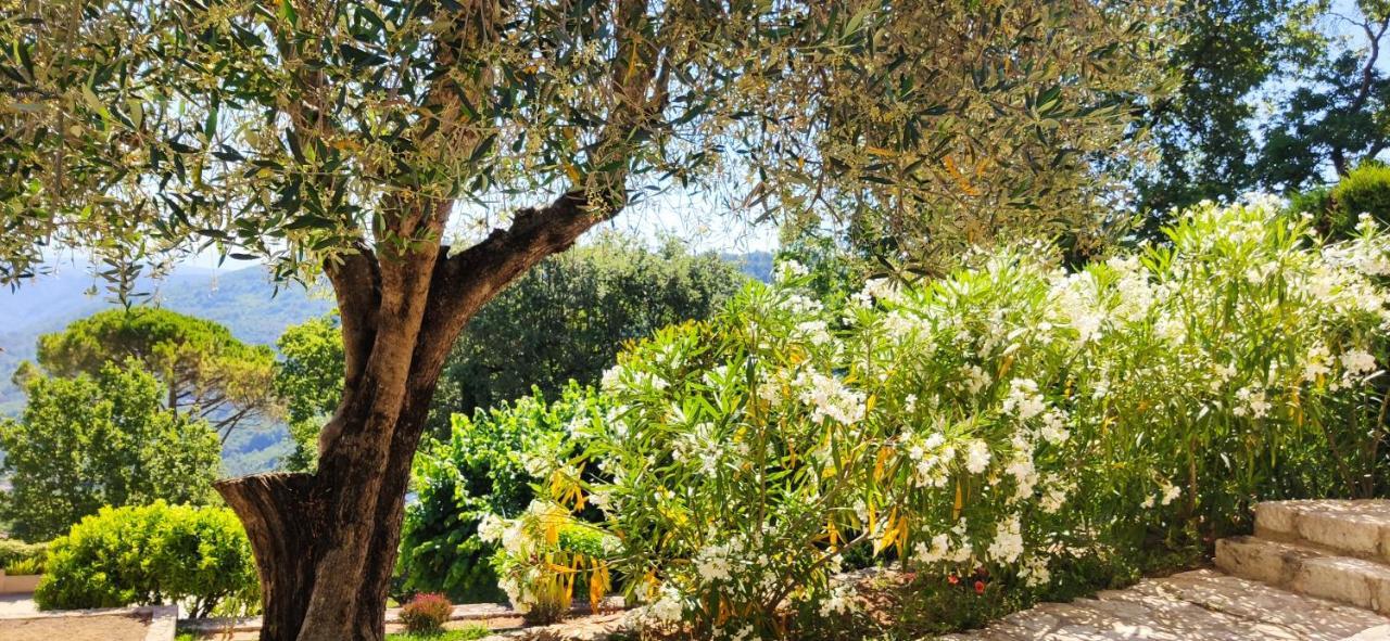 Loup Castel Boutique Hotel B&B Le Bar-sur-Loup Екстериор снимка